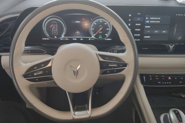 Used VOYAH Dream 2022 Low-Carbon Edition Home