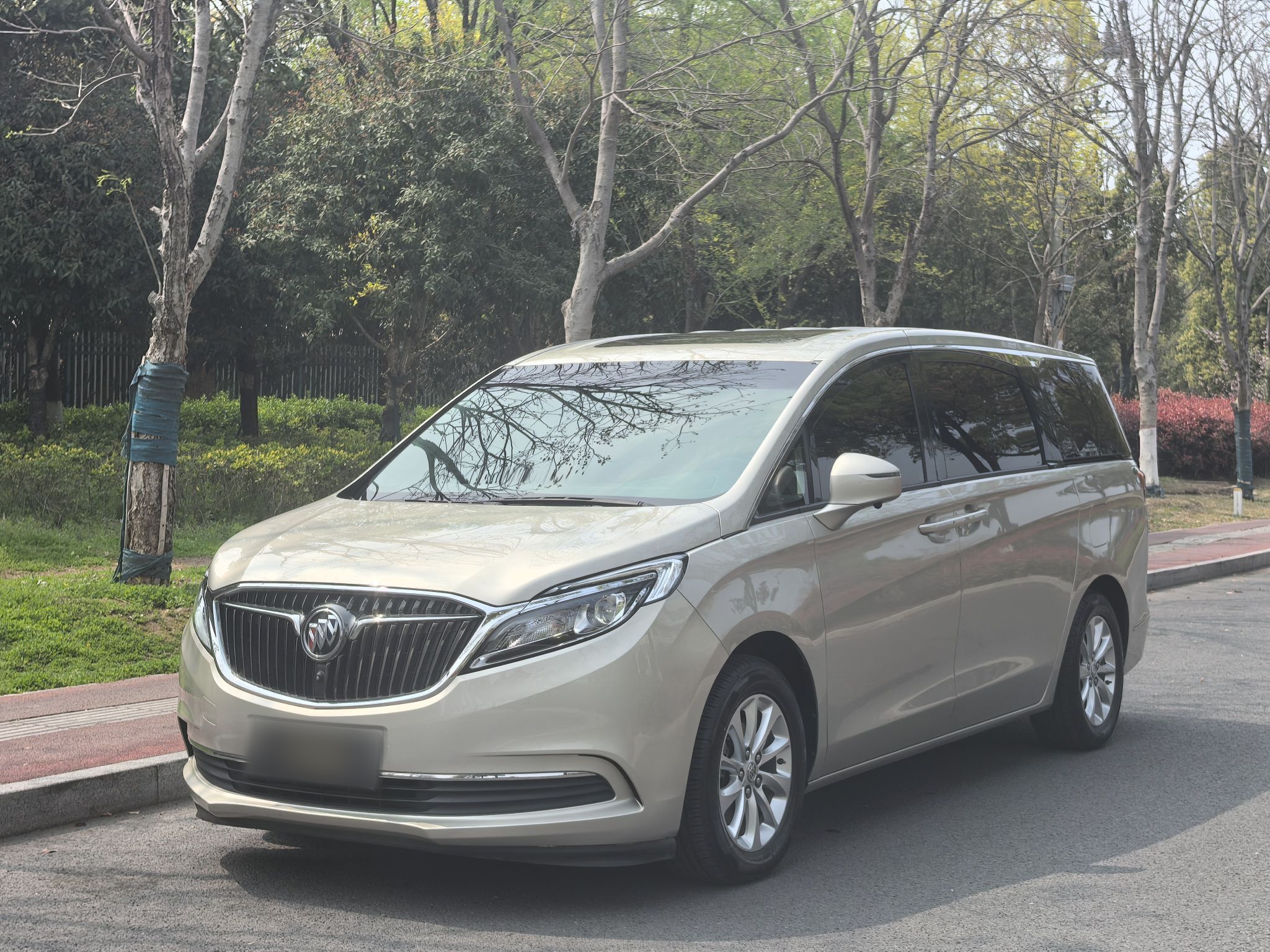 Parte inferior delantera