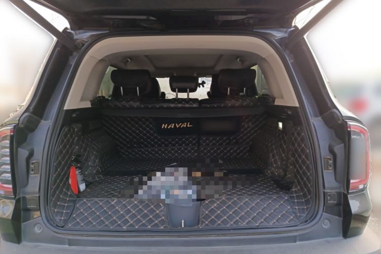 Used Haval DARGO 2021 2.0T DCT 4x4 Chinese Rural Dog Edition