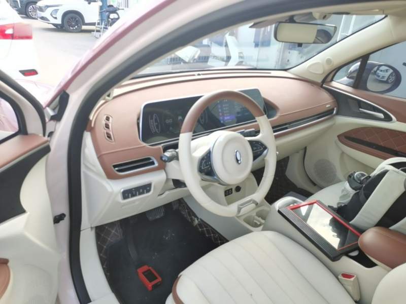 Used ORA Good Cat 2021 400km Standard Range Athena Edition Lithium-Ion Battery — 9