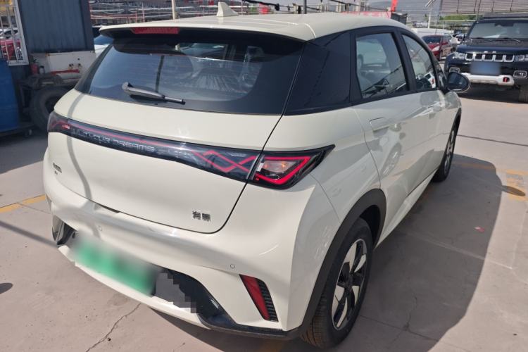 Used BYD Dolphin 2025 420km Free Edition Rear Right 45 Deg