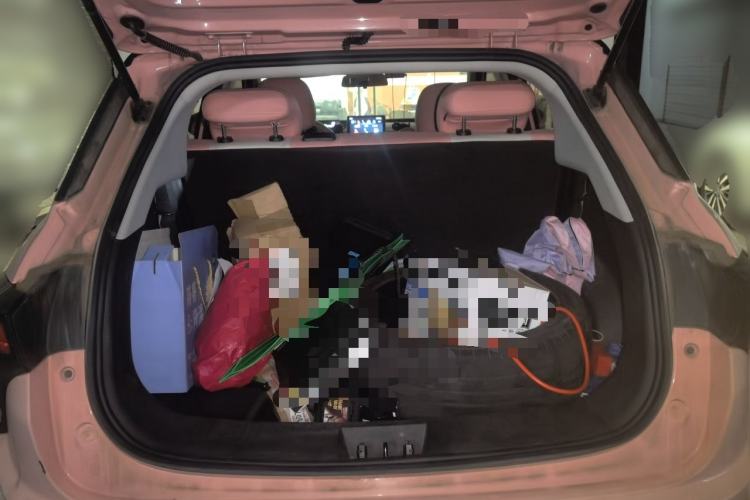 Used NETA V 2021 Witch Edition Trunk