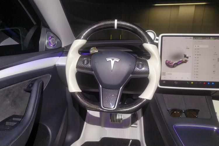 Used Tesla Model Y 2021 Standard Range Rear-Wheel Drive Version
