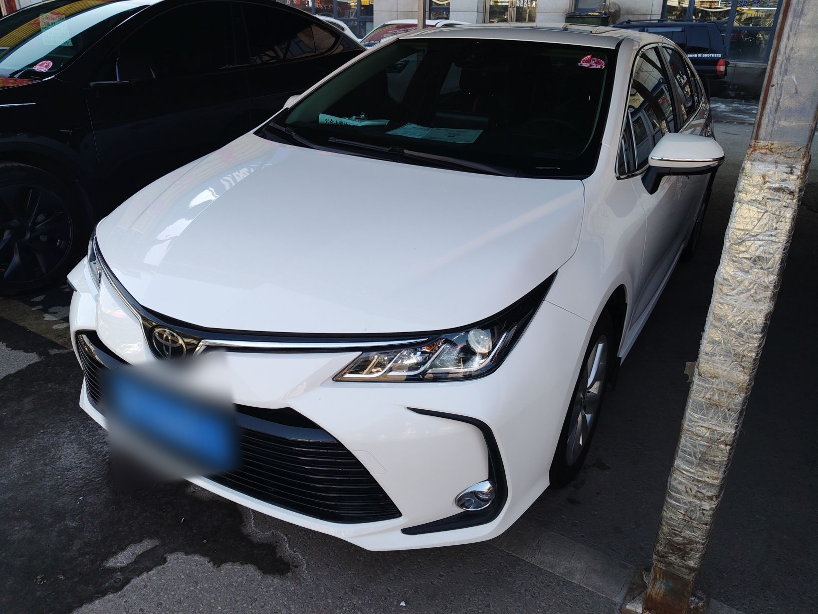 تحت مقدمة السيارة