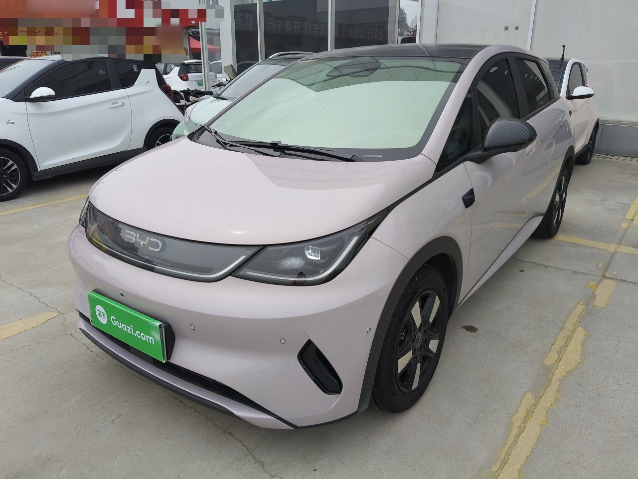 Parte inferior delantera