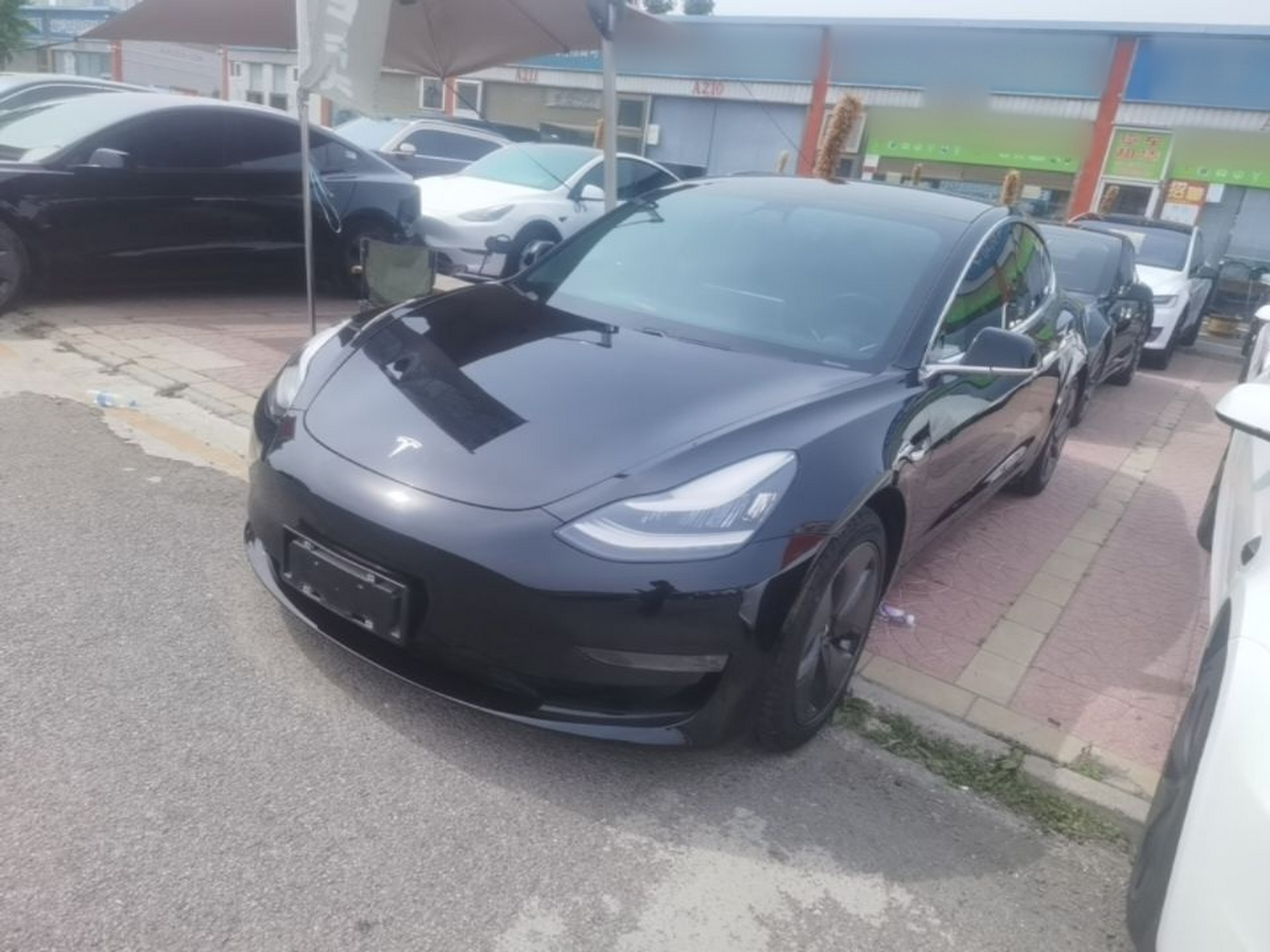 Under Front Bumper
