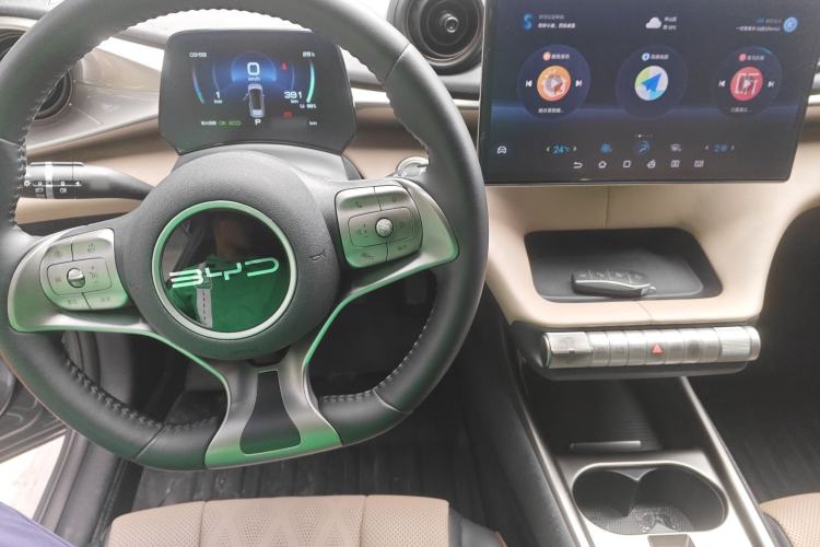 Used BYD Dolphin 2023 420 km Free Version Center Console