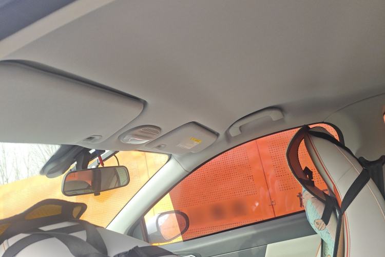 Used Chery Little Ant 2024 321km Love Edition