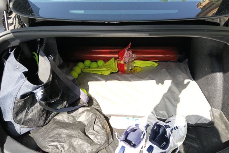 Used Tesla Model 3 2019 Standard Range Rear-Drive Upgraded Version Trunk