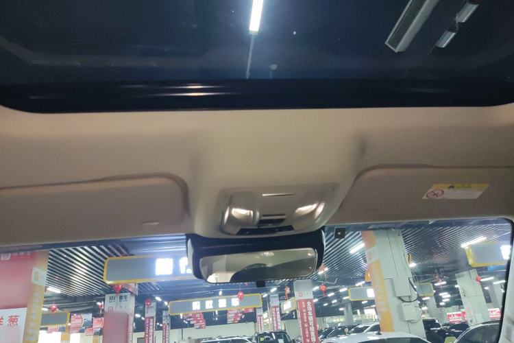 Used Tank 300 2022 2.0T Border Limited Edition