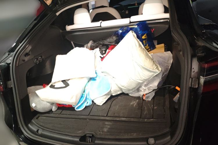 Used Tesla Model Y 2021 Standard Range Rear-Wheel Drive Version
