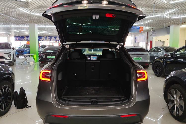 Used Tesla Model Y 2021 Standard Range Rear-Wheel Drive Version