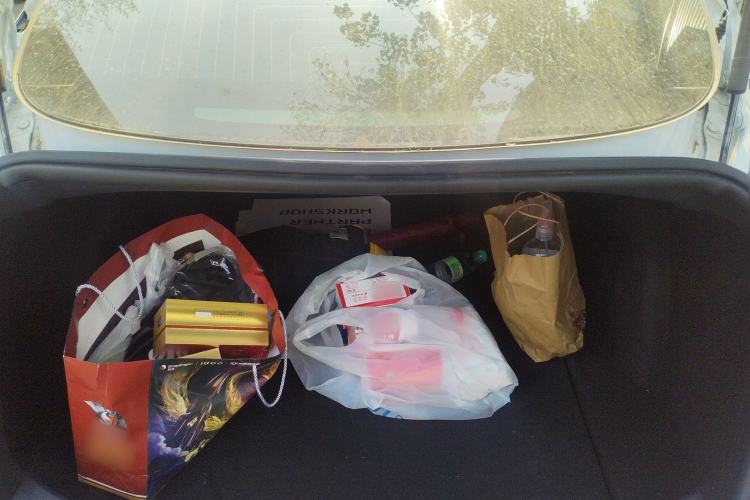 Used Tesla Model 3 2019 Standard Range Rear-Wheel Drive Upgraded Version (52 kWh) Trunk