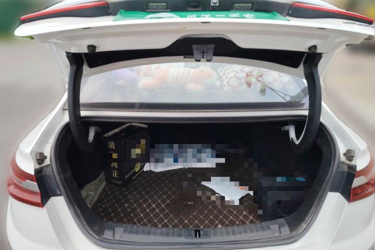 Used Geometry A 2019 High-Performance Standard Range Power Edition Trunk