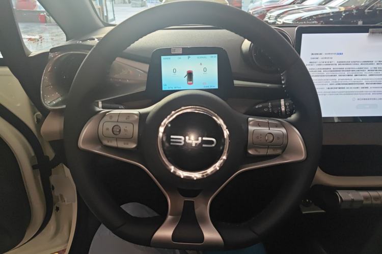 Used BYD Dolphin 2025 420km Free Edition