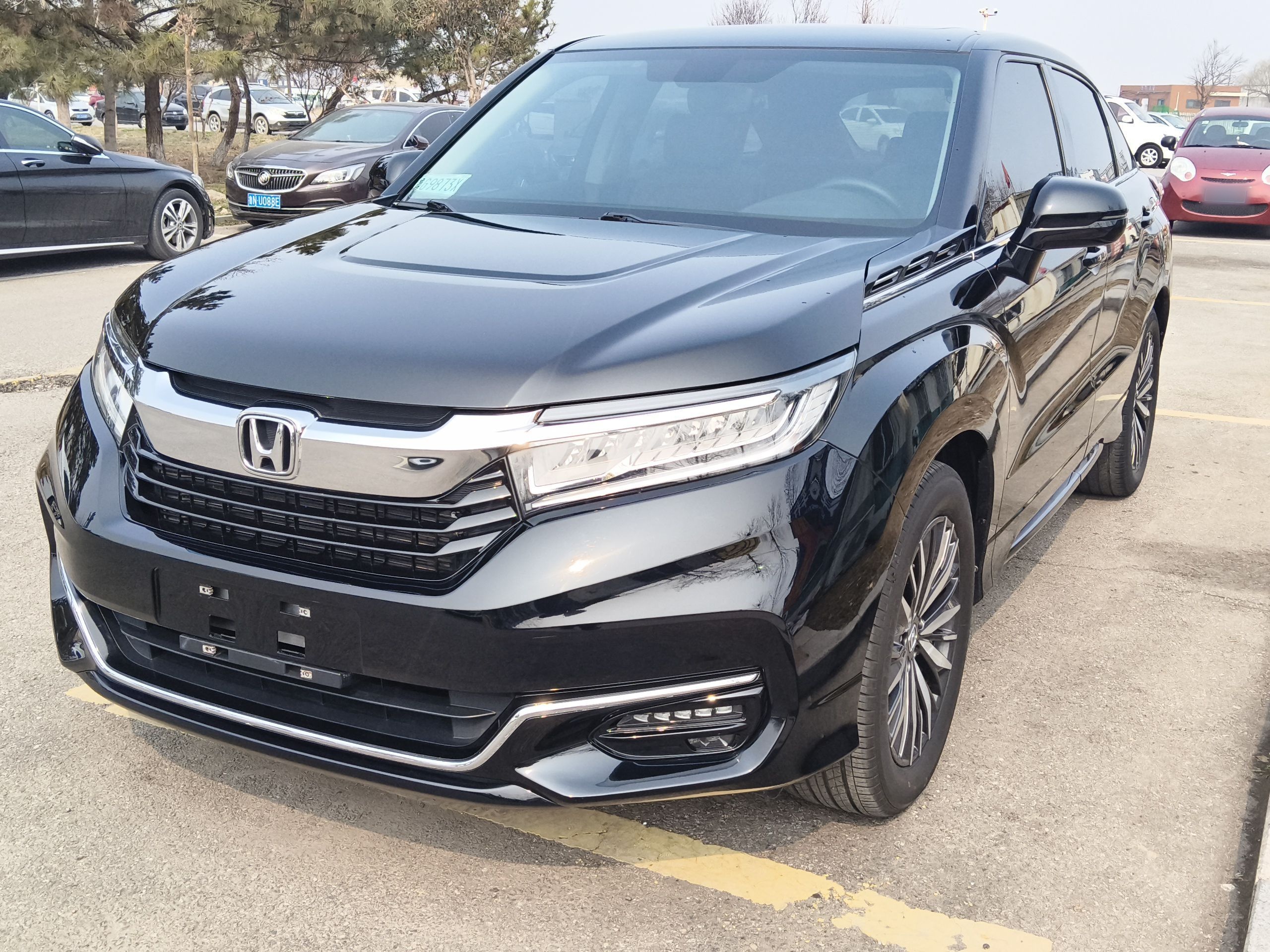 Parte inferior delantera