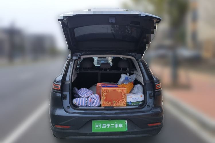 Used Leapmotor C11 2023 Pure Electric 500 Comfort Edition
