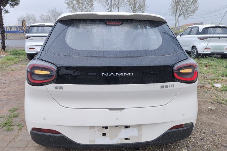 Used Dongfeng NAMMI 01 2025 330KM Youth Edition Rear