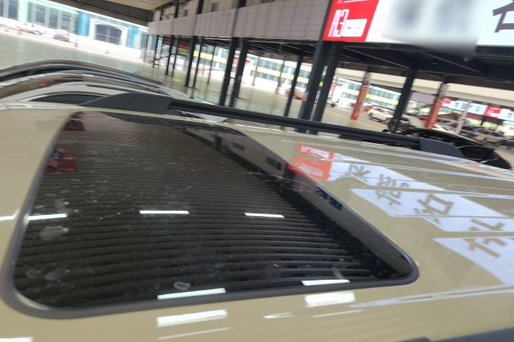 Used Tank 300 2025 2.4T Diesel Version
