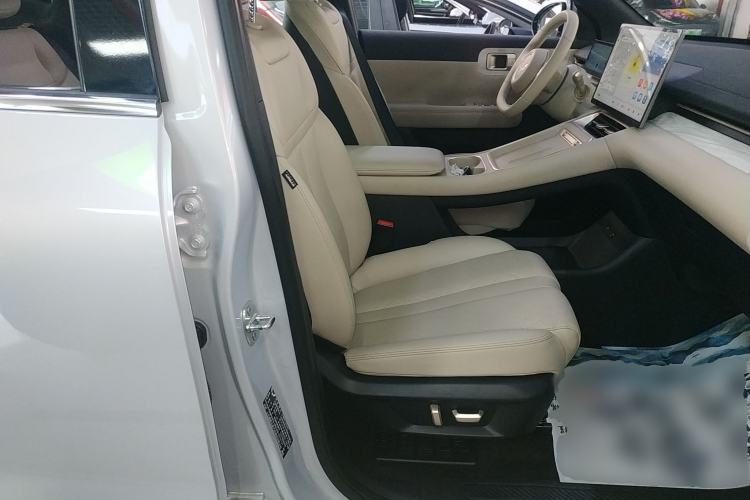 Used Wuling Xingguang S 2024 510 km Flagship Version Right Front Seat