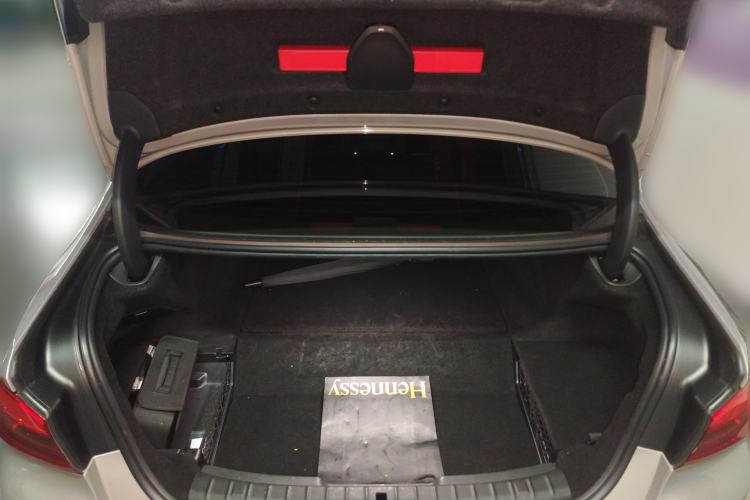 Used BMW 5 Series New Energy 2019 530Le Luxury Package