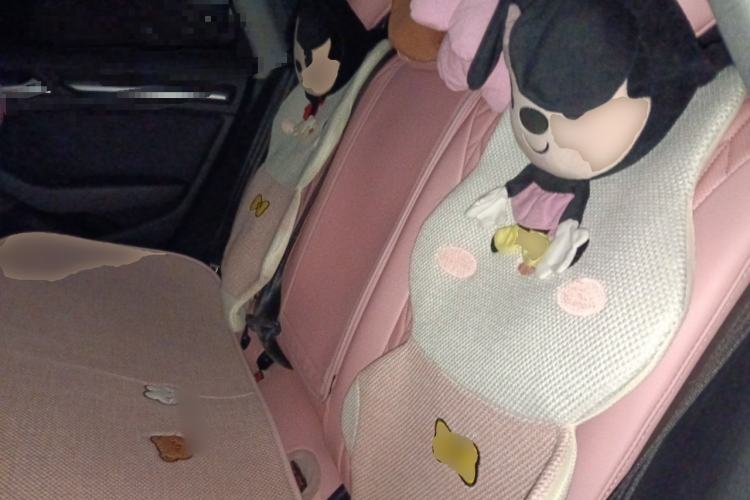 Used Audi A3 2020 Restyled Limousine 35 TFSI Ambition Version China VI Left Rear Seat