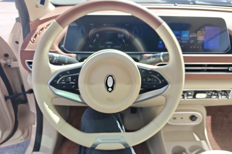 Used ORA Good Cat 2023 401 km Standard Range Prestige Version Lithium Iron Phosphate Steering Wheel