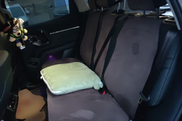 Used Haval H Dog 2026 Model 2.0T Trendy Wilderness Edition Left Rear Seat