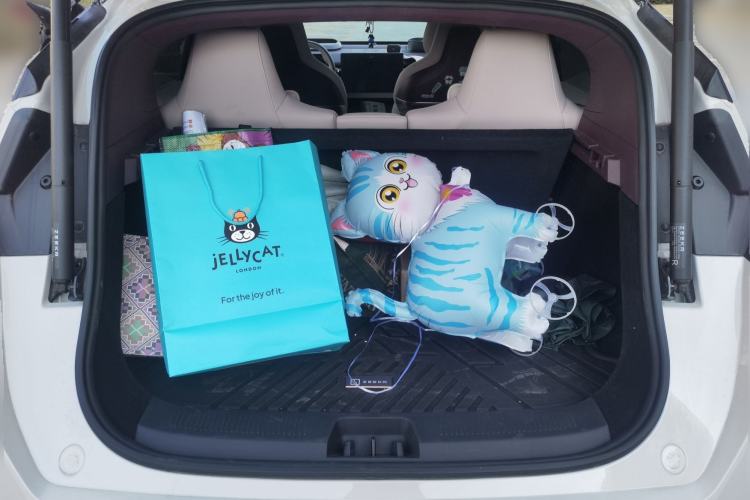 Used Zeekr X 2023 Rear-Drive YOU Edition 4 Seats