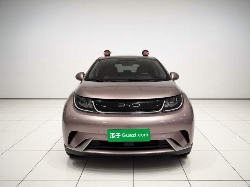 Used BYD Dolphin 2023 420 km Free Version — 2