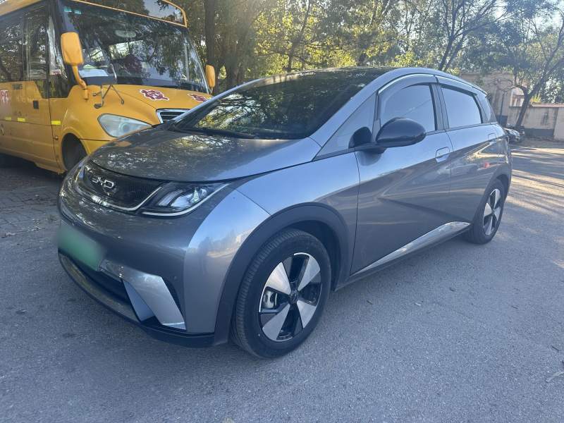 Used BYD Dolphin 2023 420 km Fashion Edition — 1