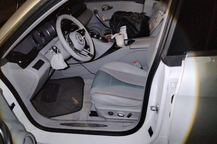 Used ORA Lightning Cat 2022 555 km Luxury Edition
