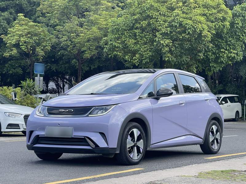 Used BYD Dolphin 2023 420 km Fashion Edition — 1