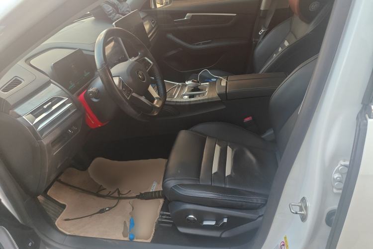 Used BYD Qin Pro New Energy 2018 EV500 Developer Edition Professional Model Left Front Seat