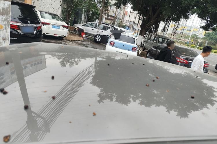 Used ORA White Cat 2020 360 km Luxury Version