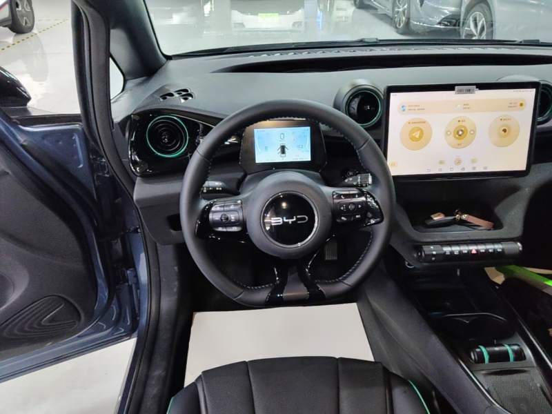 Used BYD Dolphin 2025 520km Range Knight Edition — 10