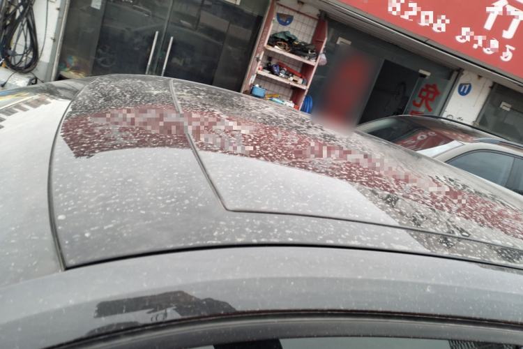 Used Audi Q2L 2020 35 TFSI Fashionable and Elegant Model