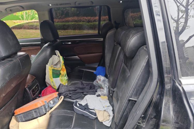 Used GAC Trumpchi GS8 2017 320T Two-Wheel Drive Luxury Smart Connectivity Version (7 Seats) Left Rear Seat