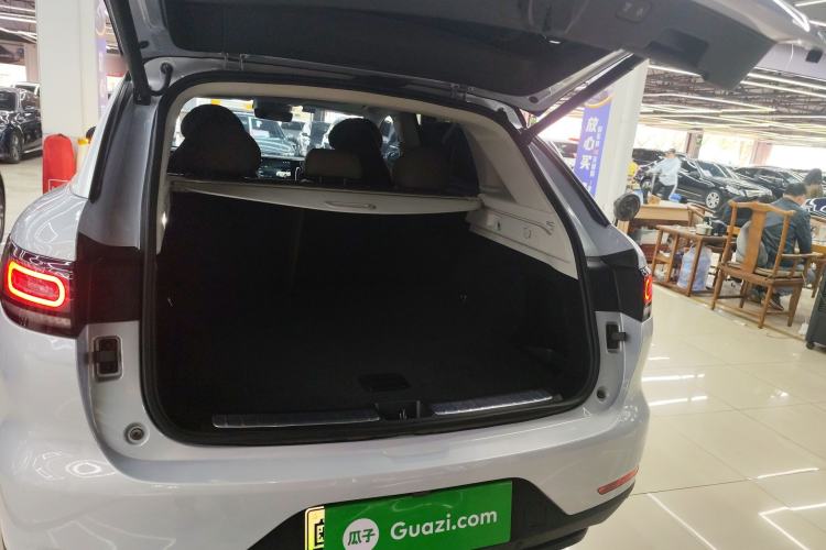 Used Leapmotor C11 2021 Performance Edition