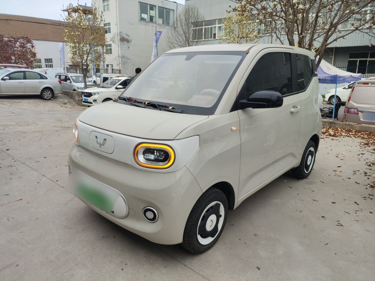 Parte inferior delantera