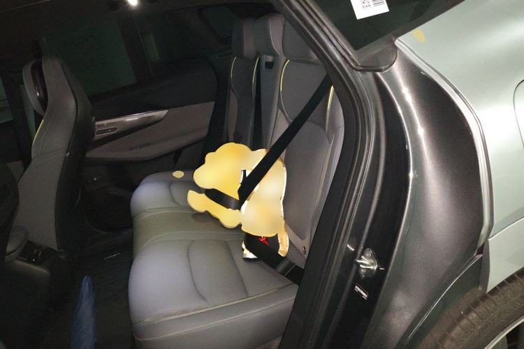 Used Lynk & Co 08 EM-P 2025 120km Long-Range Pro
