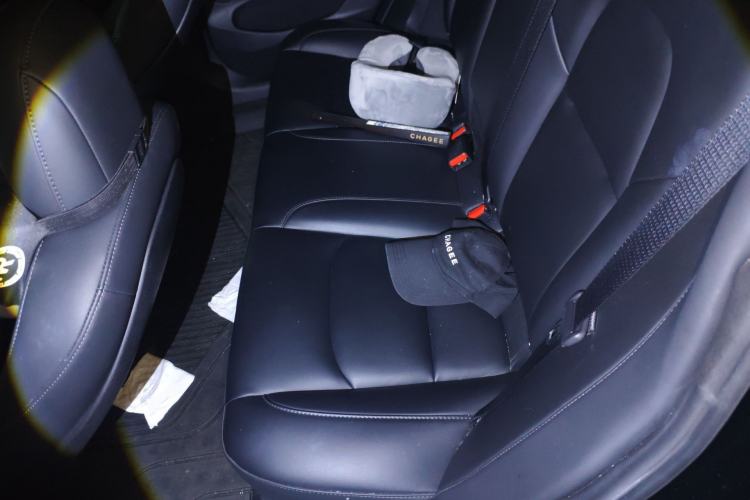 Used Tesla Model 3 2022 Rear-Wheel-Drive Version Left Rear Seat