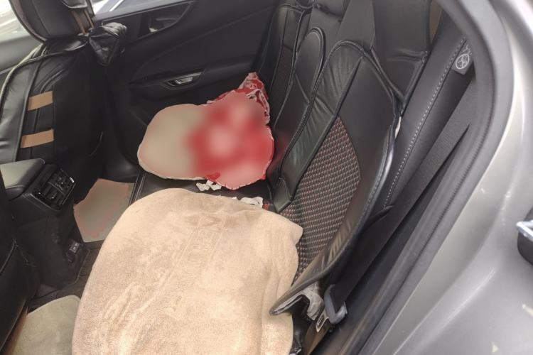 Used Lexus NX 2024 260 Front-Wheel Drive Chuanchi Edition