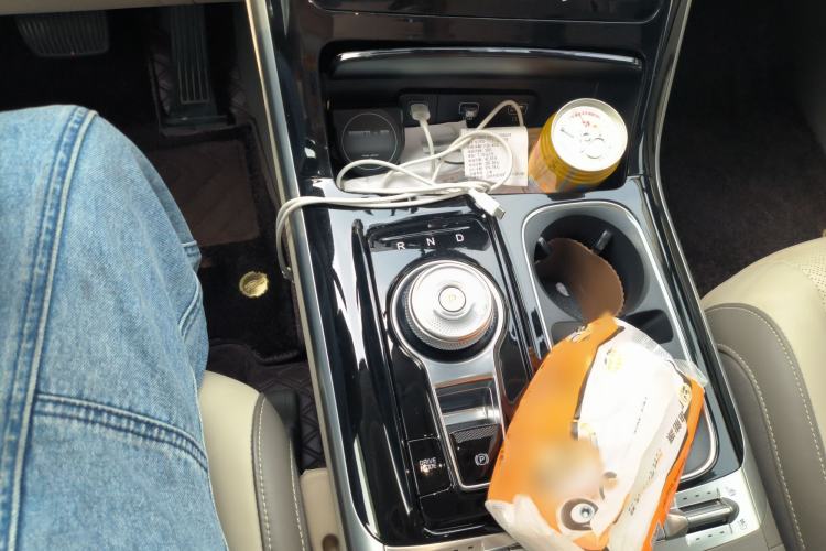 Used Kia Carnival 2021 2.0T Flagship Edition