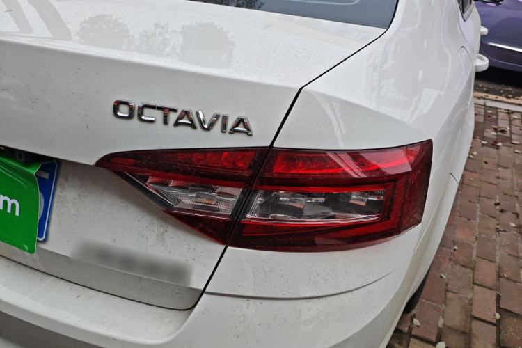 Used Skoda Octavia 2019 1.5L Automatic Comfort Edition
