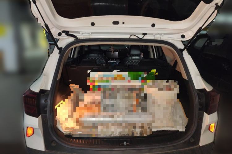 Used Kia KX3 2021 1.5L CVT Trend Edition
