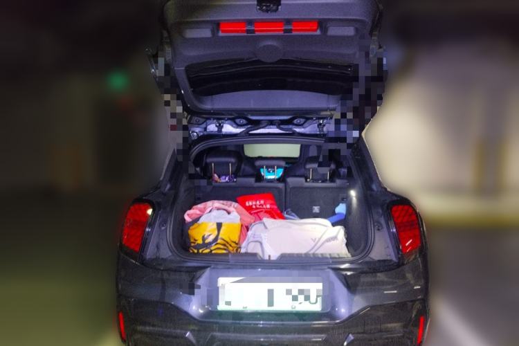 Used MINI Electric ACEMAN 2024 SE Racing Driver
