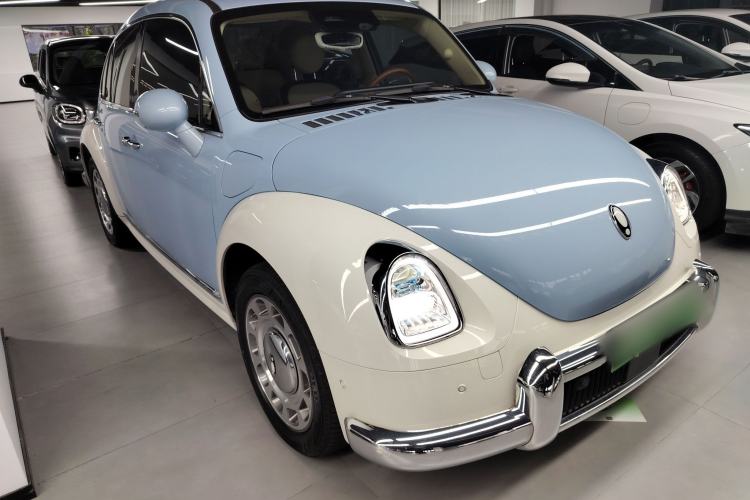 Used ORA Ballet Cat 2023 401 km Luxury Version
