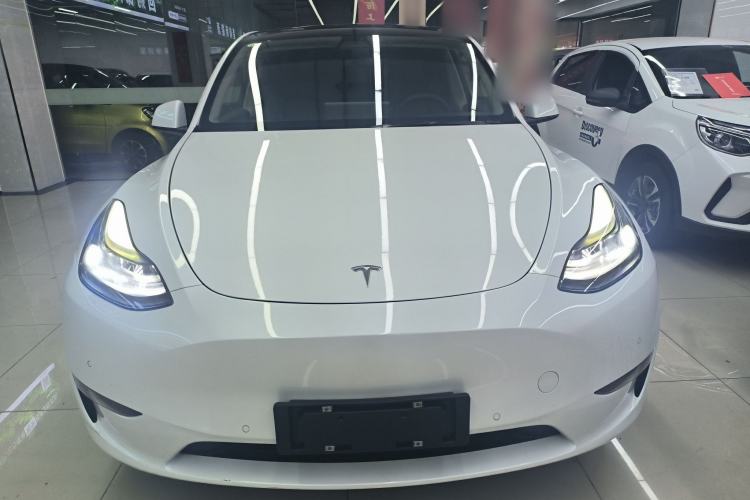 Used Tesla Model Y 2021 Standard Range Rear-Wheel Drive Version
