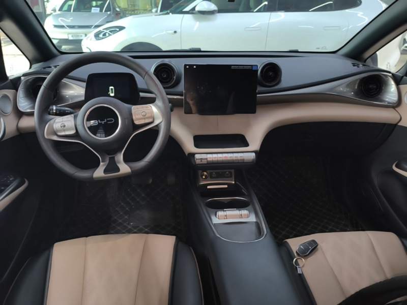 Used BYD Dolphin 2024 Honor Edition 420km Freedom Version — 9